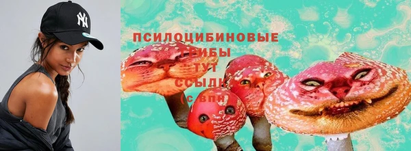 MDMA Лагань
